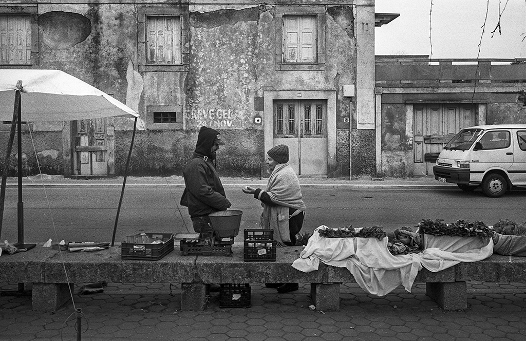 avintes mercado